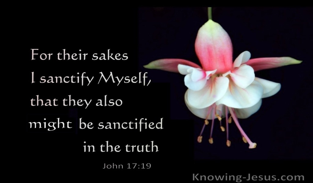 1 John 17:19 True Consecration (devotional)11:15 (pink)